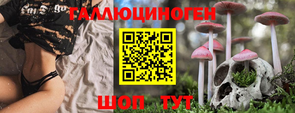 Галлюциногенные грибы прущие грибы Мелеуз